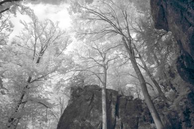 Martinswand in Infrarot (Schwarzweiss-Bild)